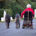 Waarom Een Scootmobiel? Meer Vrijheid, Energie en Zelfstandigheid